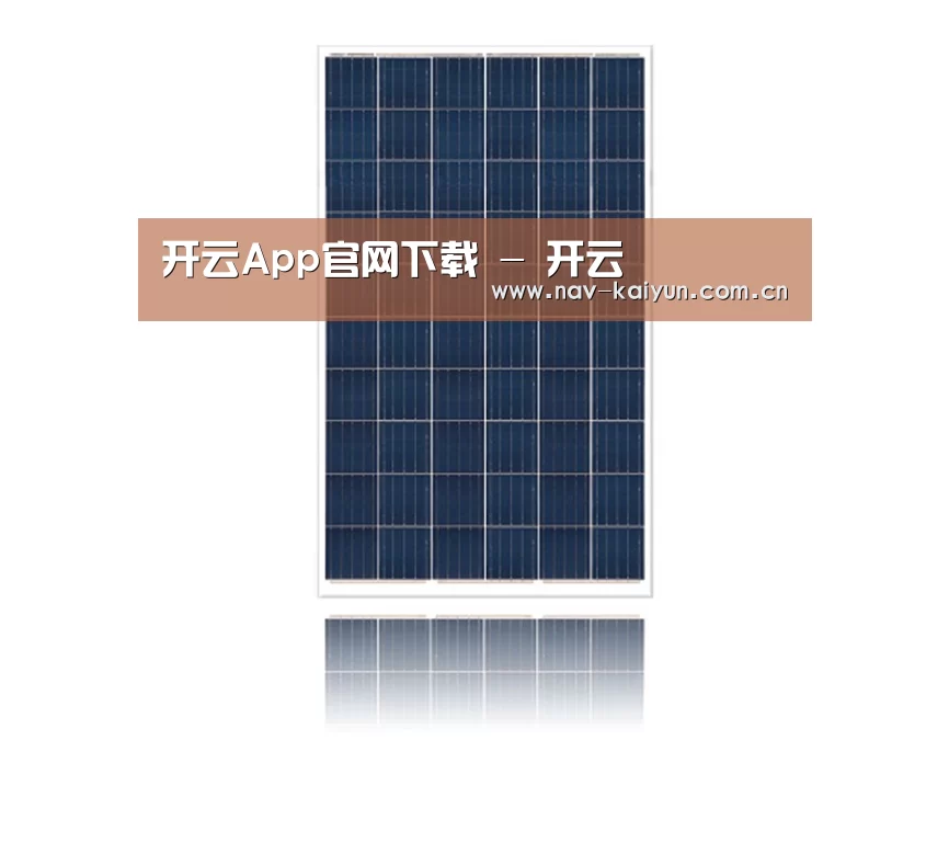 产品名称一