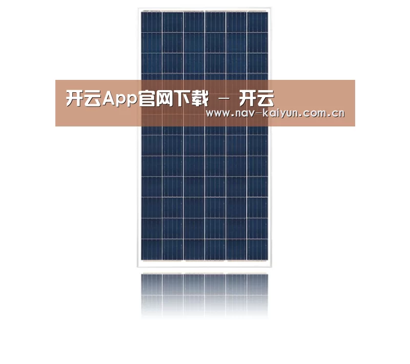 产品名称一